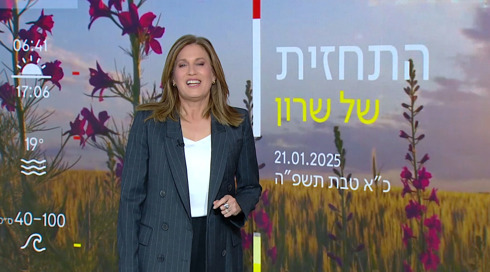 התחזית (17)