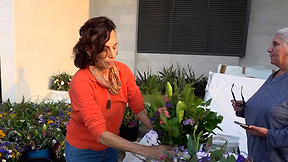 צ'ק-אאוט אחרי 82 יום: הבית החדש של תושבי ניר עוז