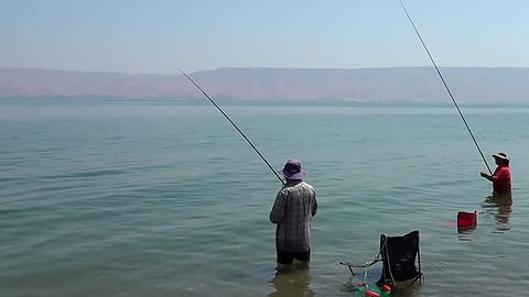 אפקט האמבה: המתרחצים נזהרים, המלונאים בצפון מודאגים