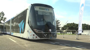 רכבת על גלגלים, שאטלים ימיים: ההצעות המנותקות של מירי רגב