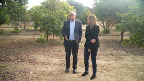 "אם יש קשרים - מי צריך פרוטקציות?": טענות על שחיתות ברשות העתיקות