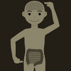 cat8316_img212482453.jpg