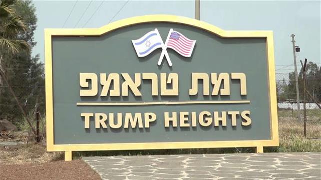 טראמפ
