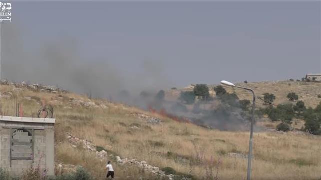 הצתות סמוך לשכם