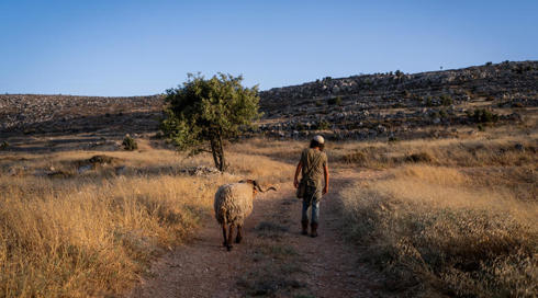 ועדת השרים לחקיקה אישרה: "יהודה ושומרון" במקום "הגדה המערבית"