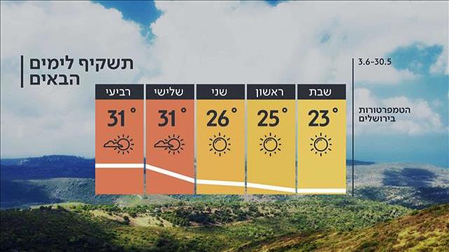 תחזית