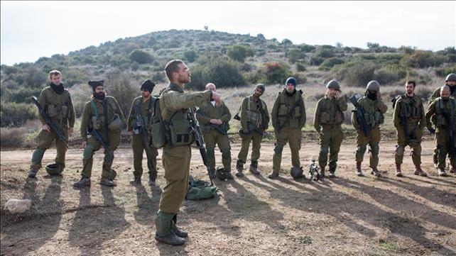מילואים, מילואימניקים