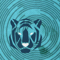 cat10109_img981545733.jpg
