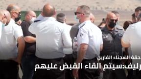 مسائية