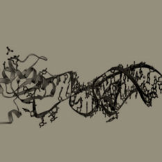RNA
