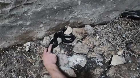 צלם הנחשים שקיבל את אחד הפרסים היוקרתיים בעולם