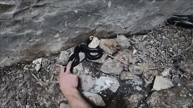 צלם הנחשים שקיבל את אחד הפרסים היוקרתיים בעולם