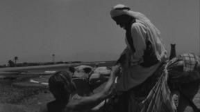 ראיון עם תושבי דהב שבסיני, 1981