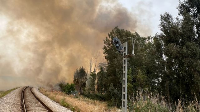 שריפה בשטח פתוח באזור גיבתון