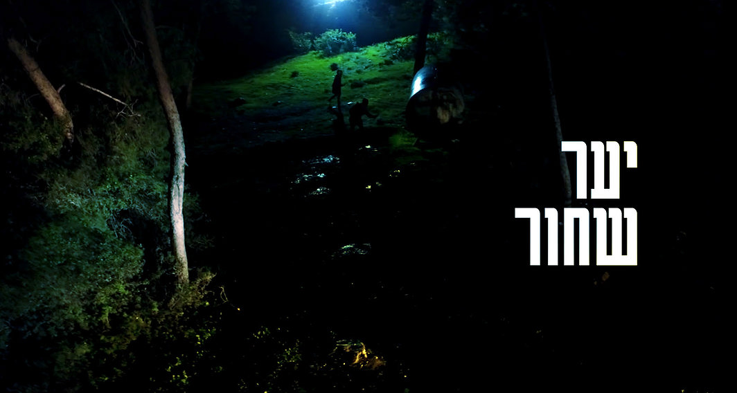 יער שחור | סרטן של הדר קליינמן צדוק ותמנע גולדשטיי