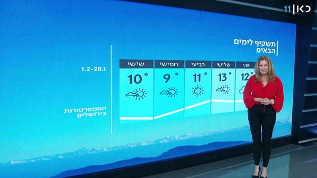 תחזית