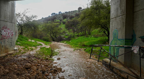 גופת אדם לא מזוהה אותרה בנחל עמוד שבגליל