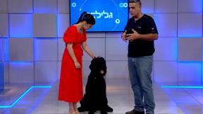 גלילאו | עונה 10 | החופשה המסוכנת בעולם | פרק 37