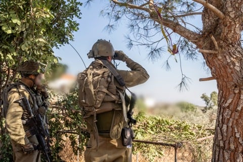 לוחמי צה