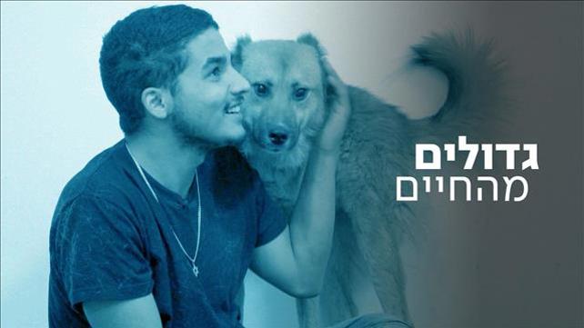 בן כלבים חברון גדולים מהחיים - שטיפה