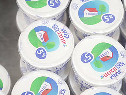 מי הזיז את הקוטג' שלי: איך הגבינה האהובה בישראל נעלמה מהמדפים?