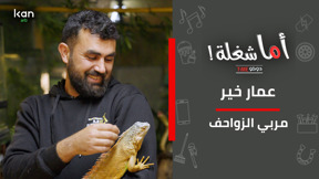 اما شغلة - مُربي الزواحف