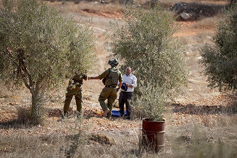 חיילי צה