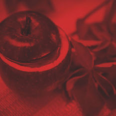 Café Literario especial de Rosh Hashana