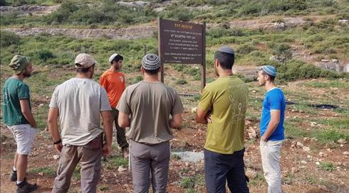 חשד: עשרות עצים נעקרו בידי פלסטינים במטע בבנימין
