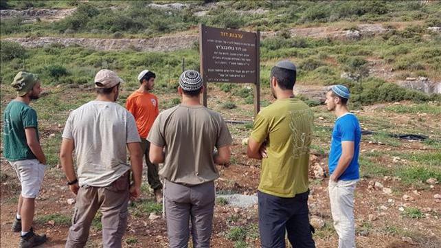 פלסטינים עקרו עצים במטע בבנימין