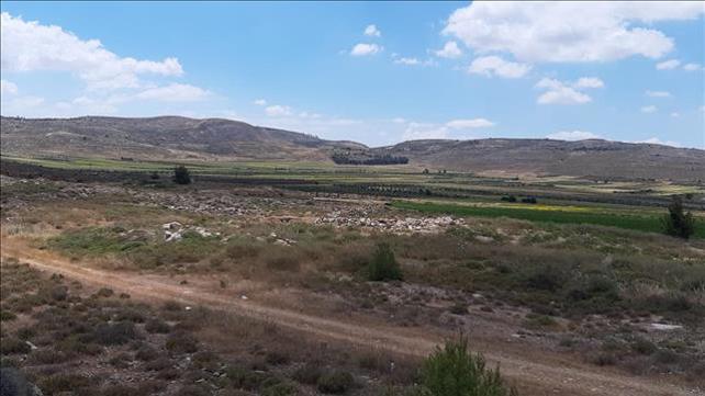 זירת פיגוע הדקירה בעמיחי - 25.5.2020 