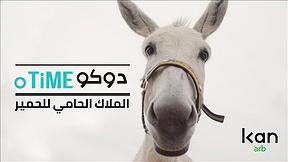 دوكوتايم | الملاك الحامي لِلحمير