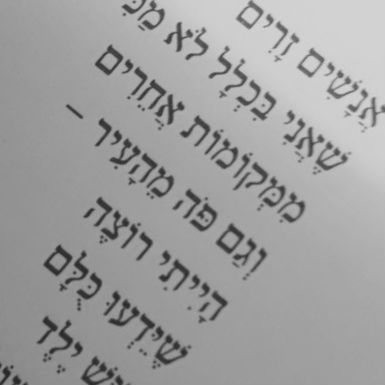 יש ילדים זיגזג