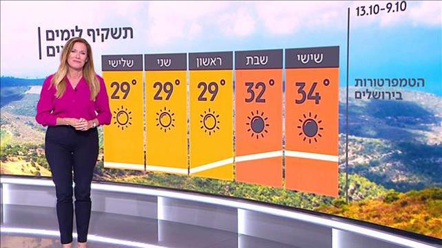 תחזית