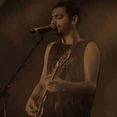 cat21810_img198647596.jpg