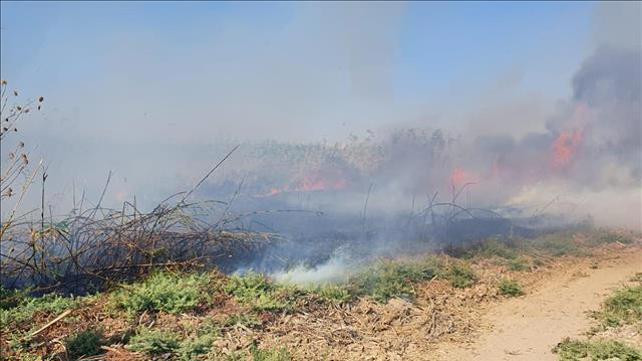 שריפה בעלומים, עוטף עזה, בלון תבערה 31.07.19