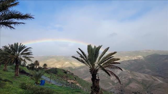מזג אוויר, קשת בענן, חורף, נוף, טבע, גשם