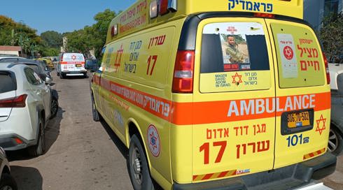 ילד כבן 3 במצב קשה לאחר שנעקץ על ידי עקרב צהוב סמוך לערד