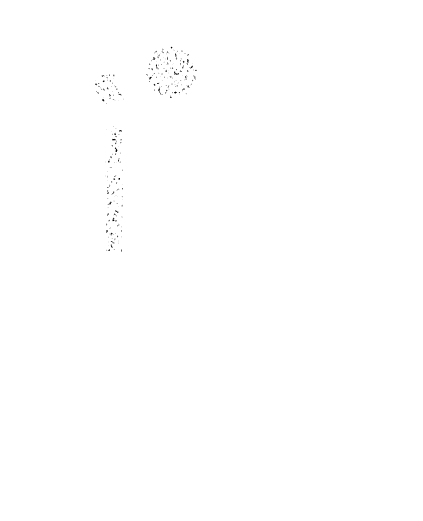 הופעות חיות