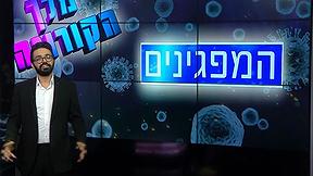 תם אהרון 15