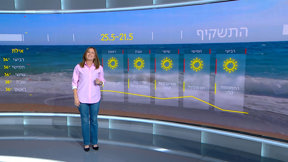 התחזית (29)