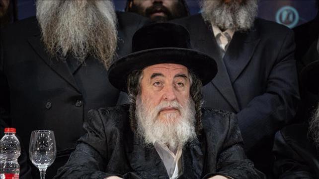 הרב ישראל הגר, האדמו"ר מוויז'ניץ