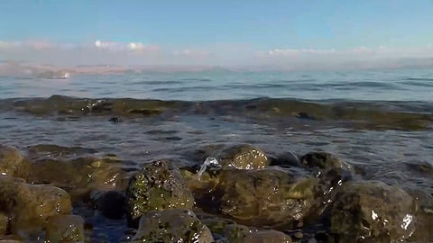 כנרת נטושה: בגלל בהלת האמבה - החופים ריקים בשיא החג, והעסקים בלי פרנסה
