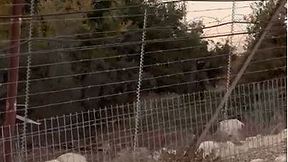 חיזבאלה מסייר בגבול לבנון, 25.07.23