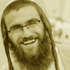 אלישע לובר 50
