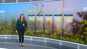 התחזית 21.04.25