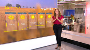 התחזית 15.07.25