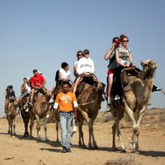 Vuelve el turismo entrante a Israel