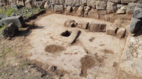 תגלית מתקופת התלמוד: גת מעוטרת פסיפס נמצאה בגן הלאומי כורזים (1)
