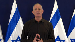 הננטש הסדרתי
